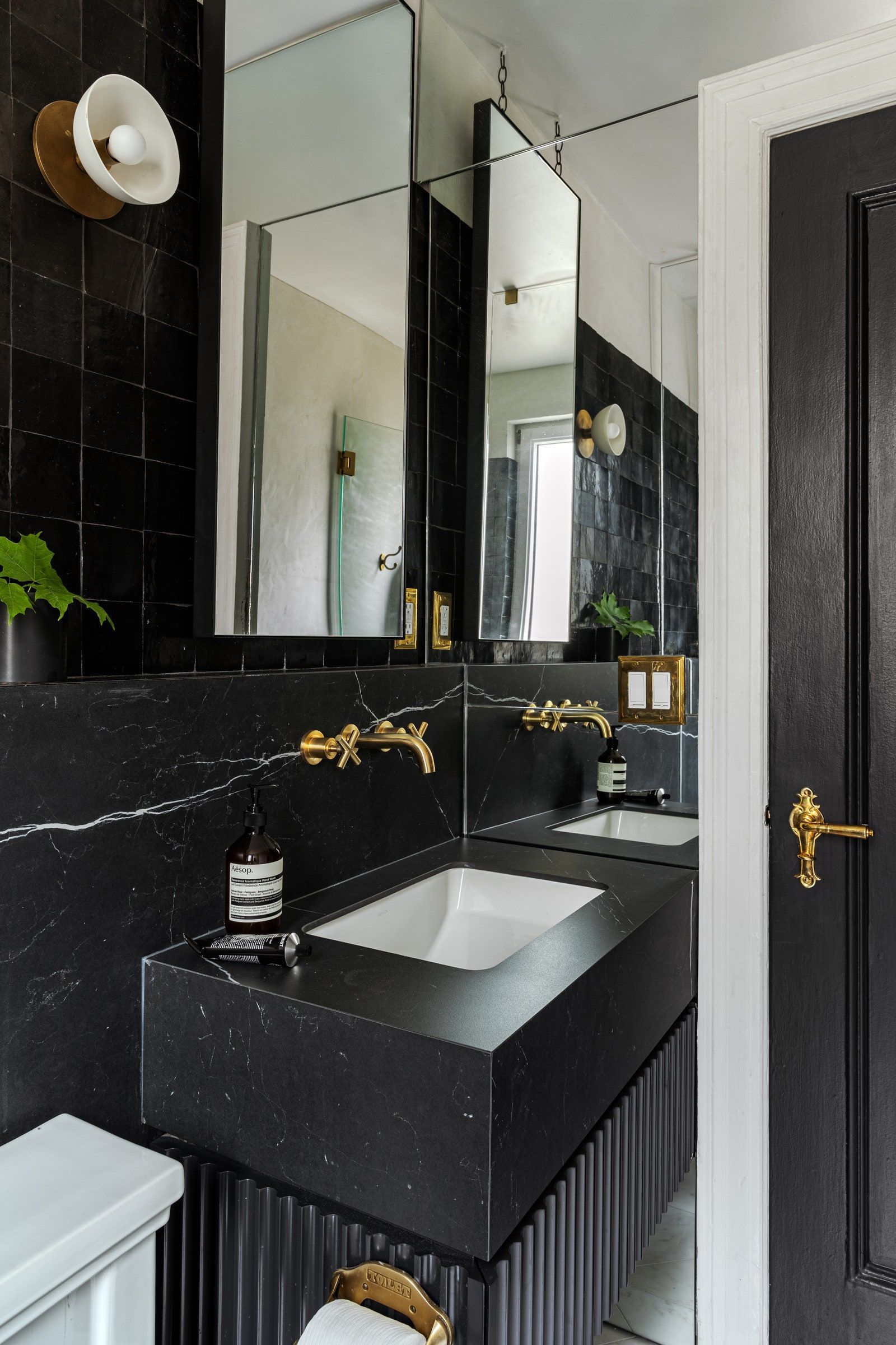 Image may contain Basin Sink Sink Faucet and Plant