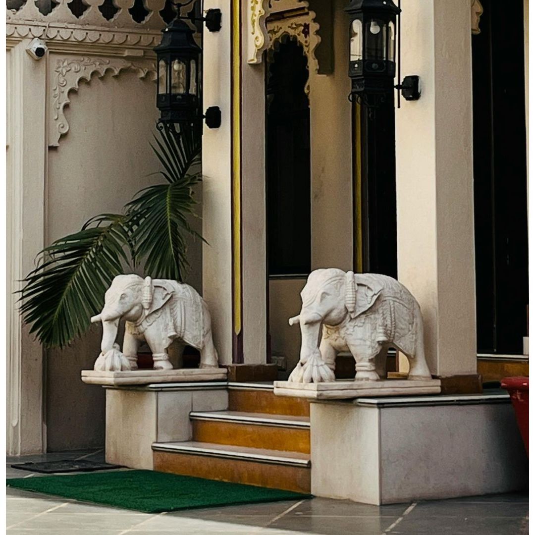 Elephant statue Vastu: Where to place these benevolent figurines of protection in your home