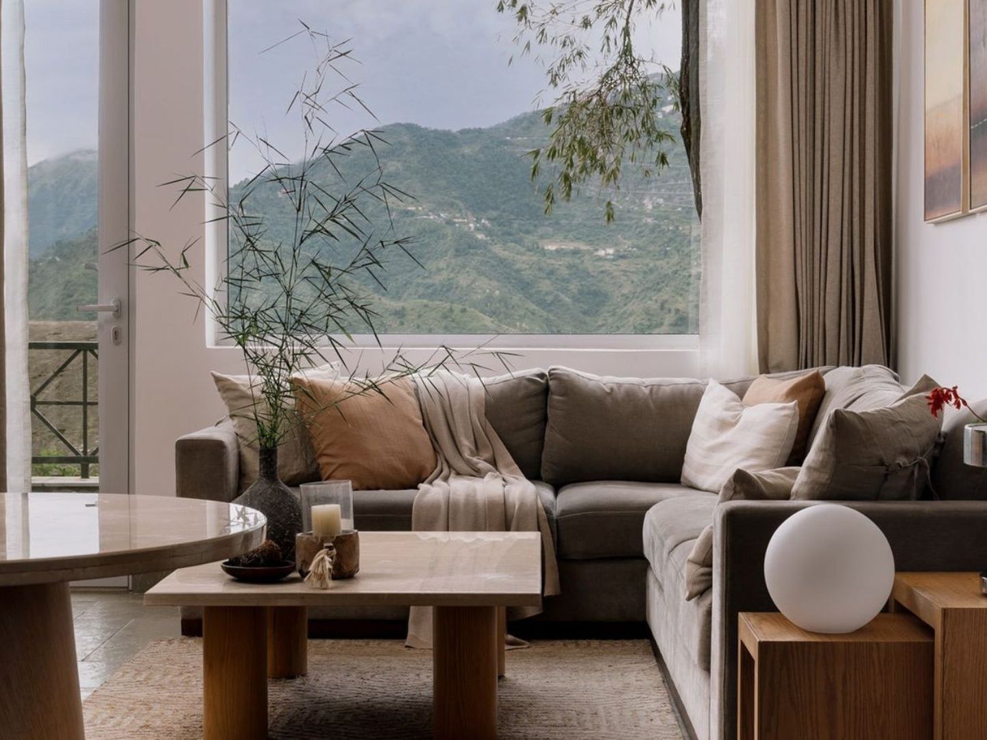 Bamboo plants: Vastu-inspired placements to attract good luck