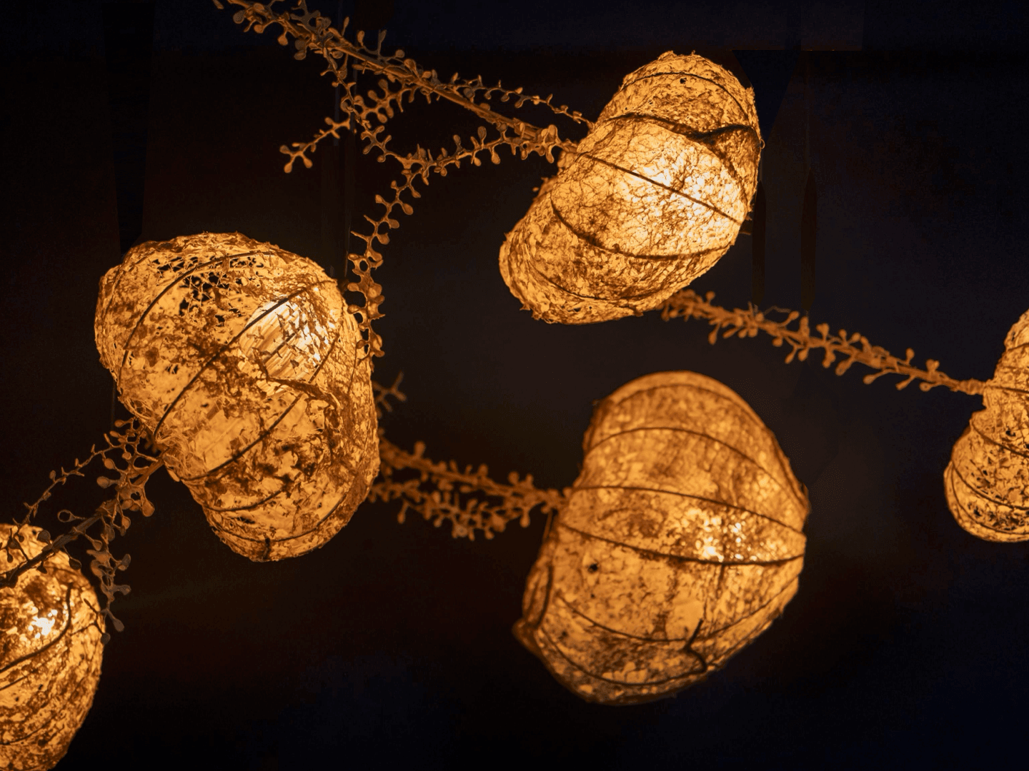 Transform your home with lighting that inspires in 2025