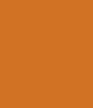 14 Carrots by Benjamin Moore