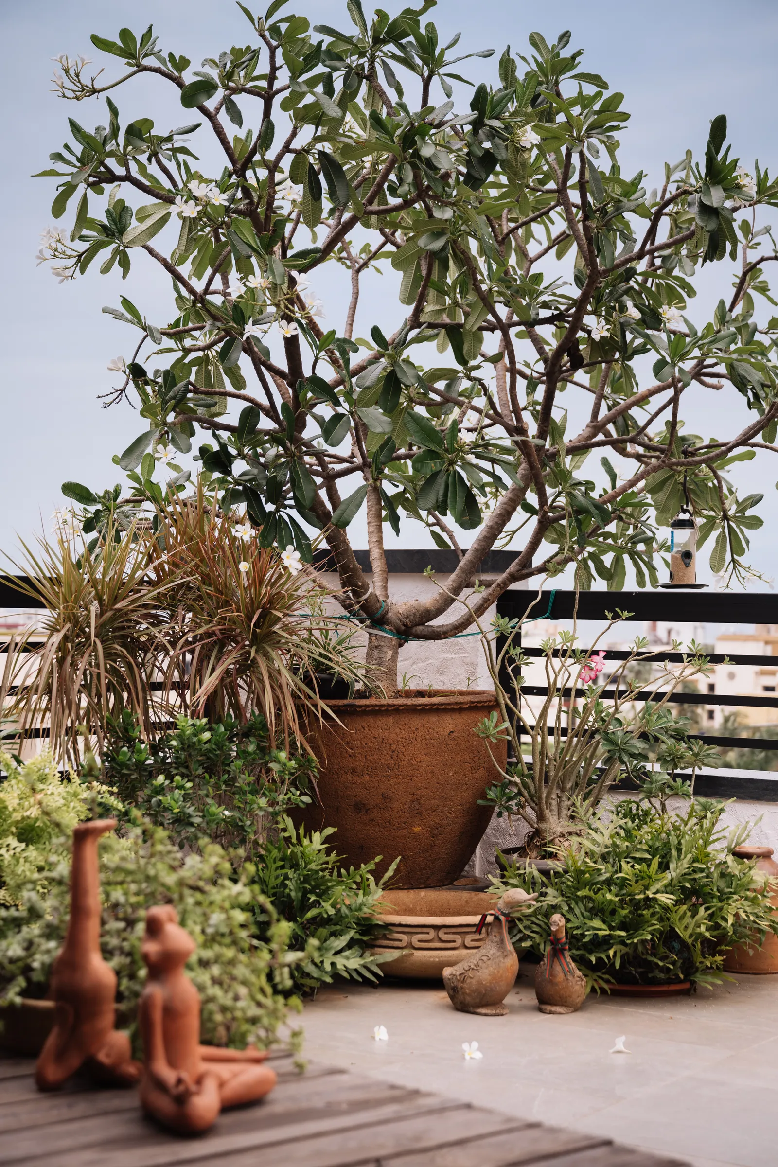Image may contain Plant Potted Plant Cookware Pot Garden Nature Outdoors Child Person Pottery Jar and Indoors