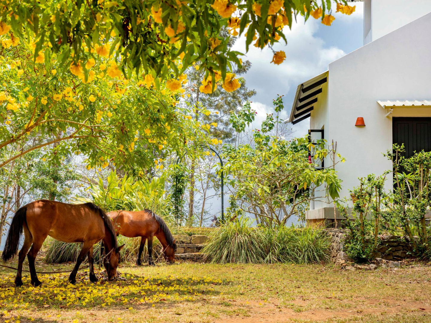 Heading to Kodaikanal? Here are 5 picturesque retreats for a memorable stay